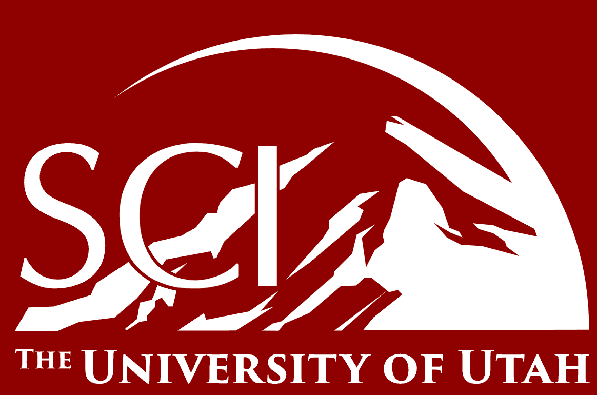 Scientific Computing and Imaging Institute Logo